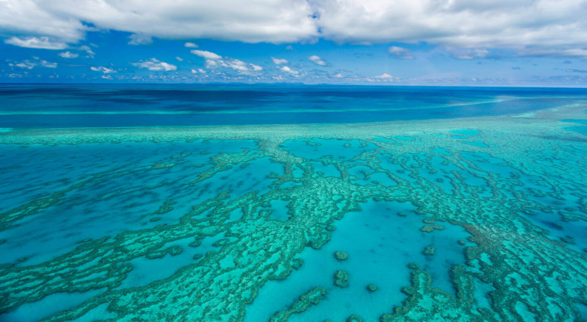 Reasons_to_visit_the_great_barrier_reef