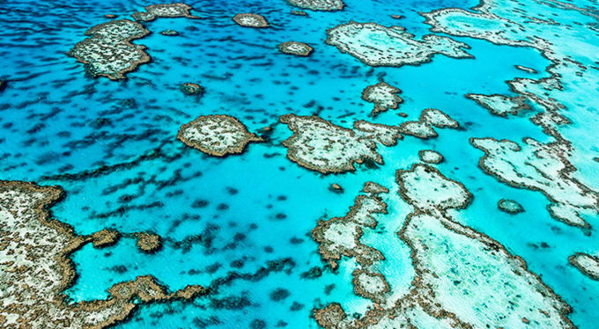 great-barrier-reef-from-above.jpg