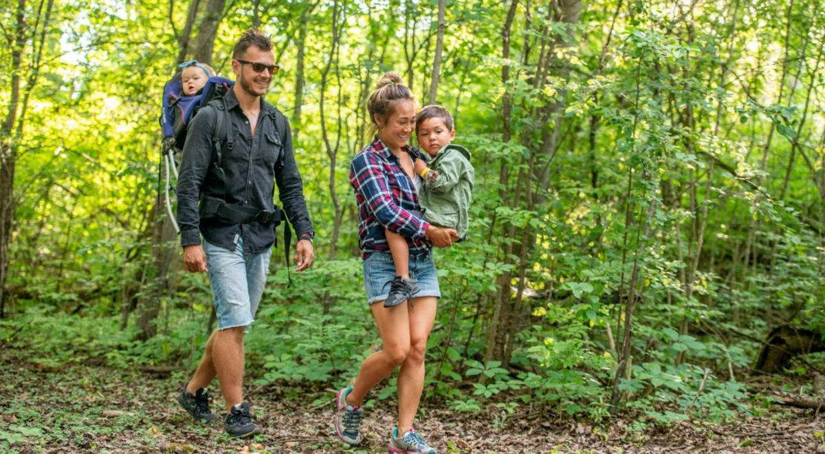 family of four hiking in green wilderness 