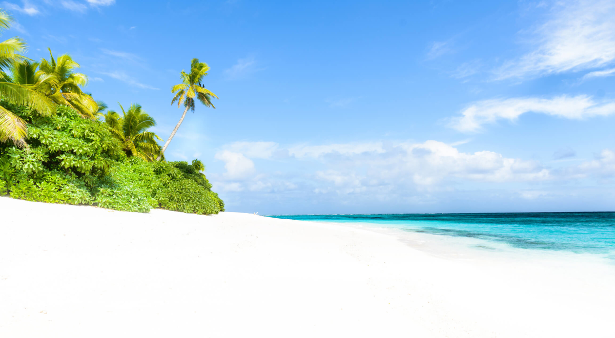 White sand tropical island beach Fiji