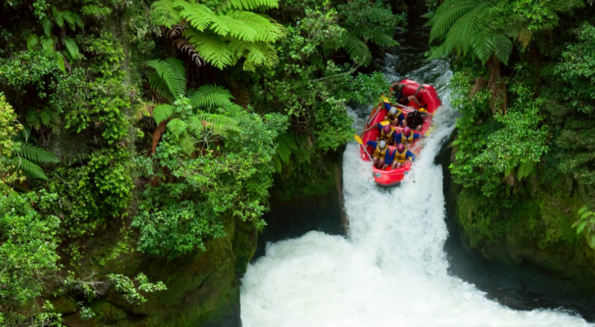 Jet boat on kaituna river NZ