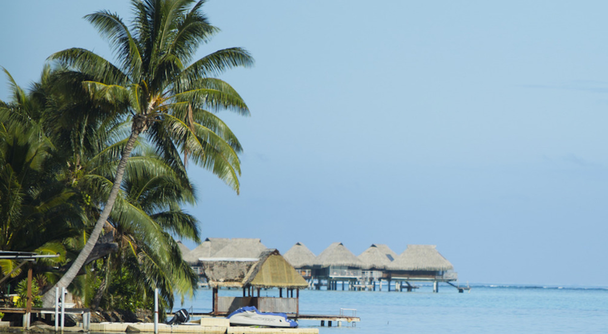 Palm trees lean out towards overwater bungalows with a hazy blue sky in the background.