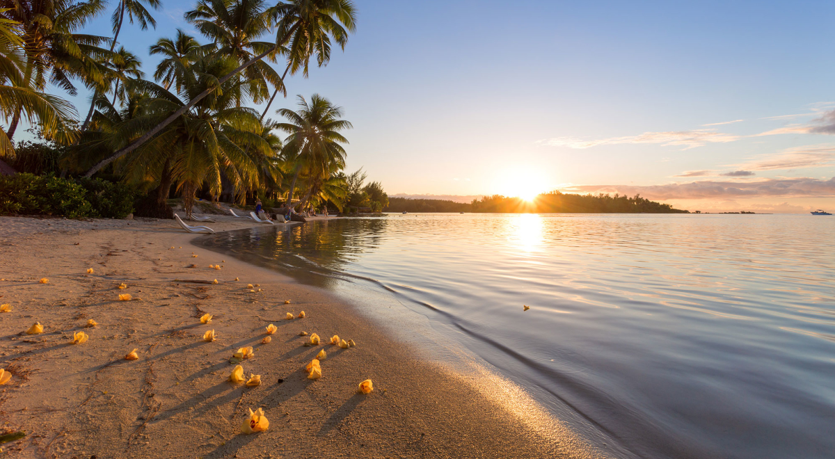 Tropical beach with flowers, Moorea, Tahiti