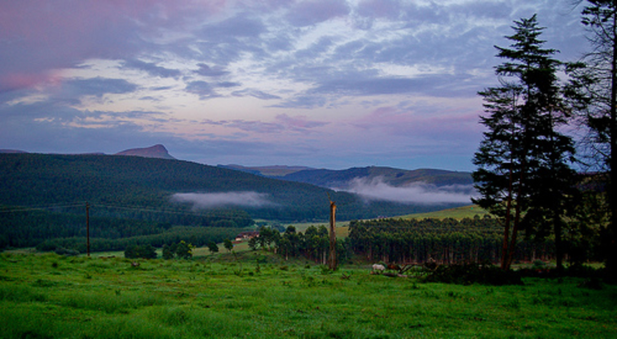 View of green hills and field with a cloudy pink sunrise 