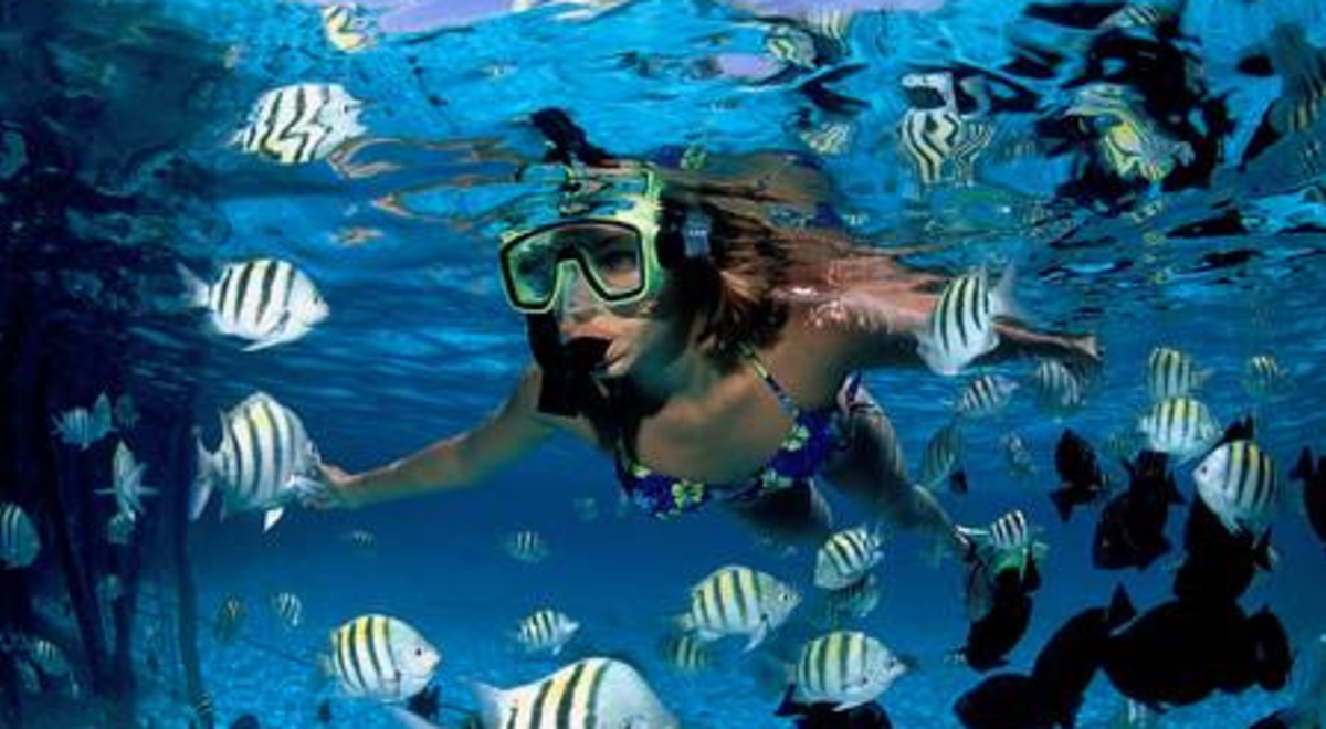 An underwater shot of a woman wearing a mask and snorkel swimming among schools of tropical fish.