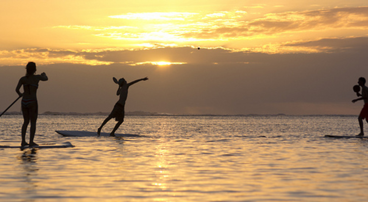 silhouettes of people stand up paddle boarding on flat ocean at sunset. one is doing a handstand on the paddle board