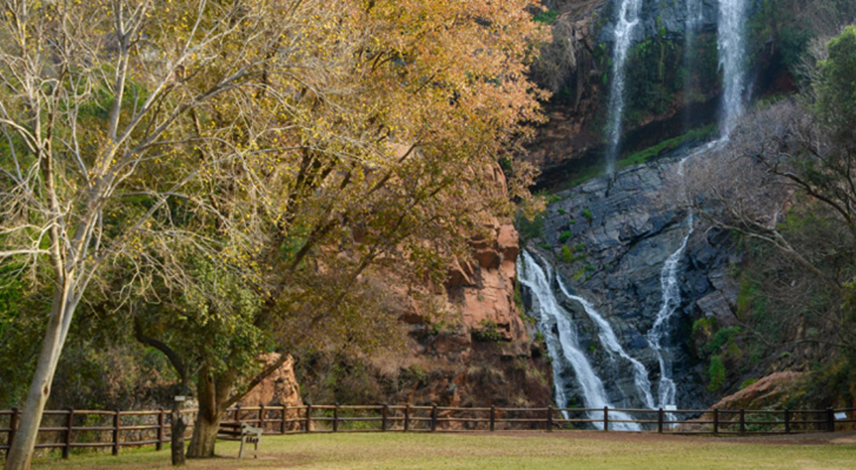 A waterfall cascades down a rockface near a grassy park with trees