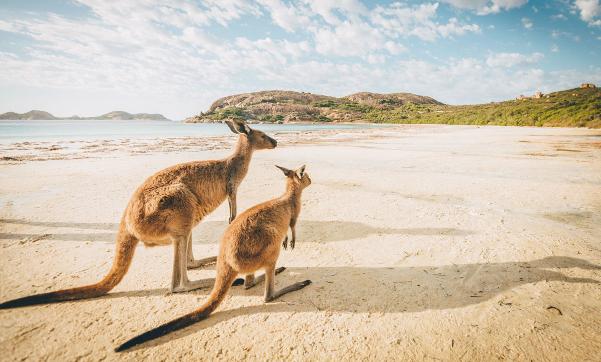 Australian Destination Image