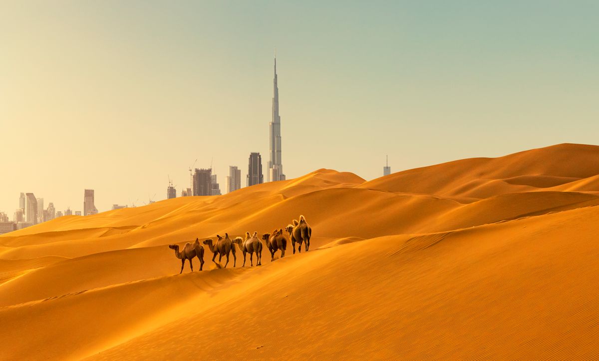 Dubai Destination Image 