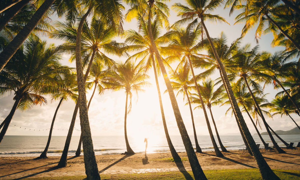 Palm Cove beach, Cairns, Australia at sunrise