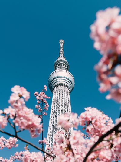 Travel guide Tokyo, Japan