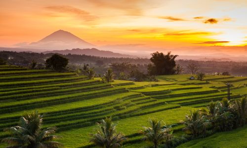 Indonesia_Destination