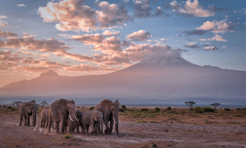 Tanzania_Destination