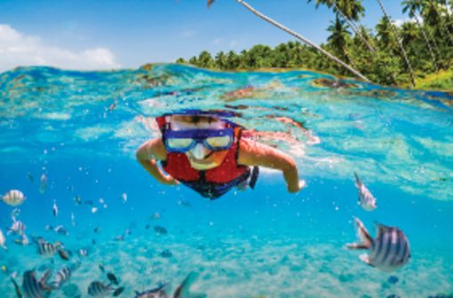 Mexico & Caribbean Banner