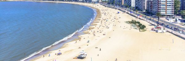 Birds eye view of Pocitos beach
