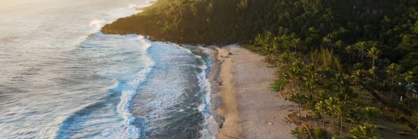 Reunion Header Banner