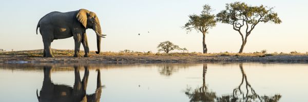 Botswana Header Banner