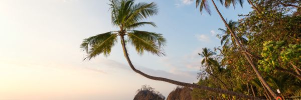 Costa Rica Header Banner