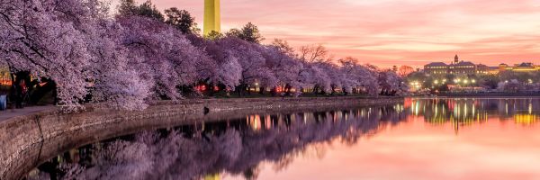 Washington DC Header Banner