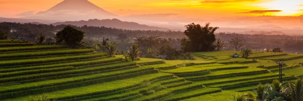 Indonesia Header Banner