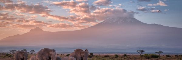Tanzania Header Banner