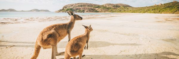 Australian Destination Image