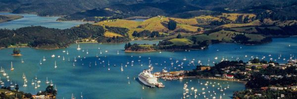 Aerial shot of harbour with large cruise ship surrounded by smaller boats