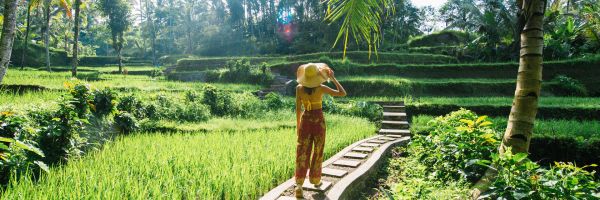 Bali Header Banner