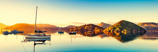 Dunedin Header Banner