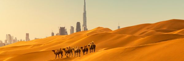 Dubai Header Banner