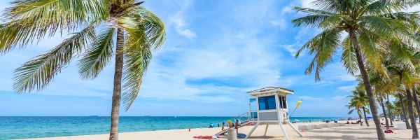 Bright beach with palm trees and a life guard hut