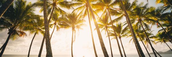 Palm Cove beach, Cairns, Australia at sunrise