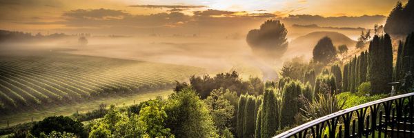 Hawkes Bay Header Banner