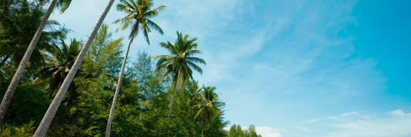 Khao Lak Header Banner