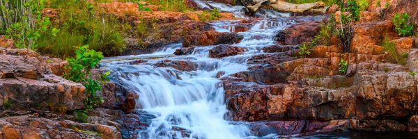 Litchfield Park Header Banner