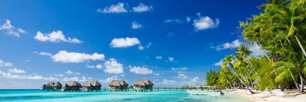 Overwater Bungalows and a clear blue ocean