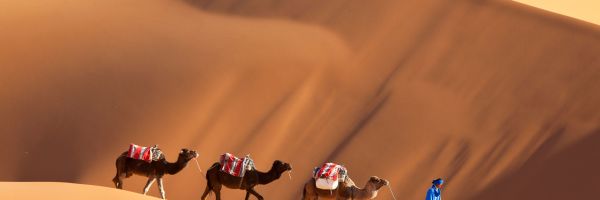 Morocco Header Banner