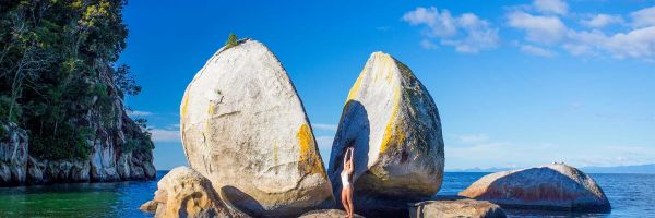 Nelson Header Banner