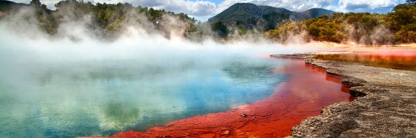Rotorua Header Banner