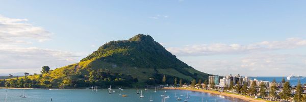 Tauranga Header Banner