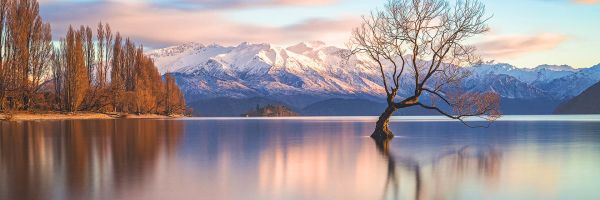 Wanaka Header Banner