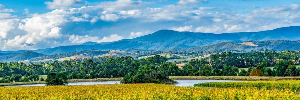 Dandenong - Yarra Valley Header Banner