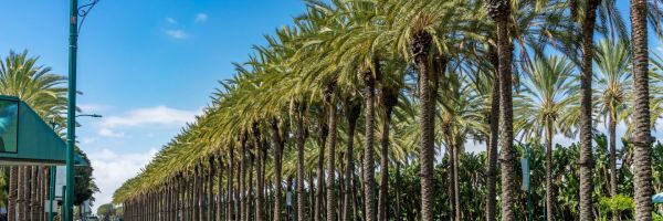 Anaheim Header Banner