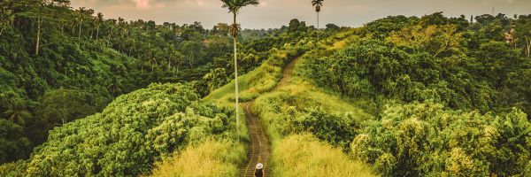 Denpasar Header Banner