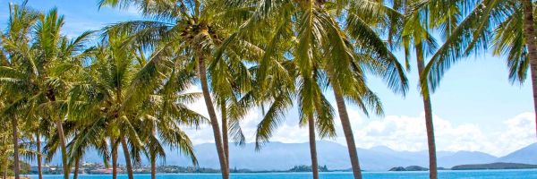 Noumea Header Banner