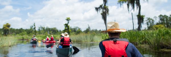 Louisiana Header Banner