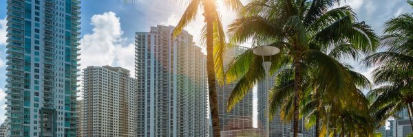 Miami Header Banner