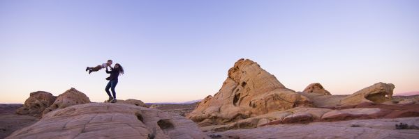 Nevada Header Banner