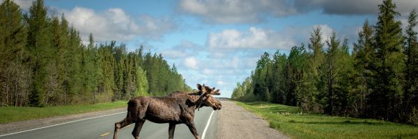 Ontario Header Banner