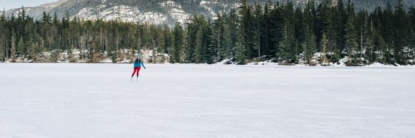 Whistler Header Banner